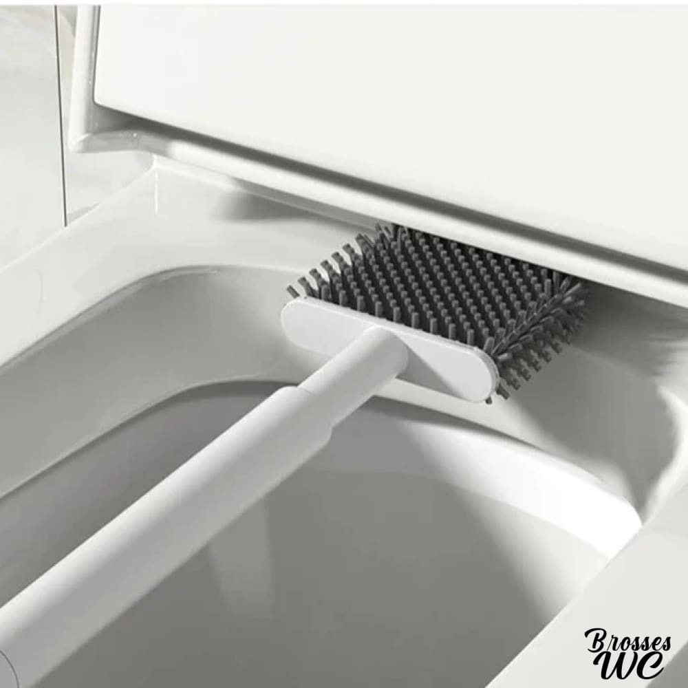 Brosse toilette wc essentielle