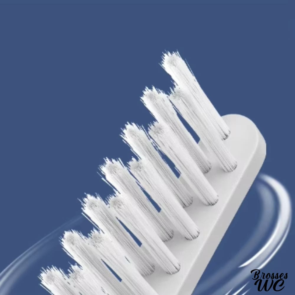 Brosse wc double brosse blanche robuste
