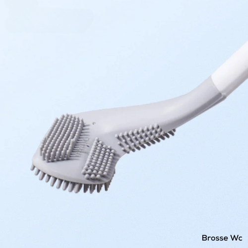 Brosse WC plate