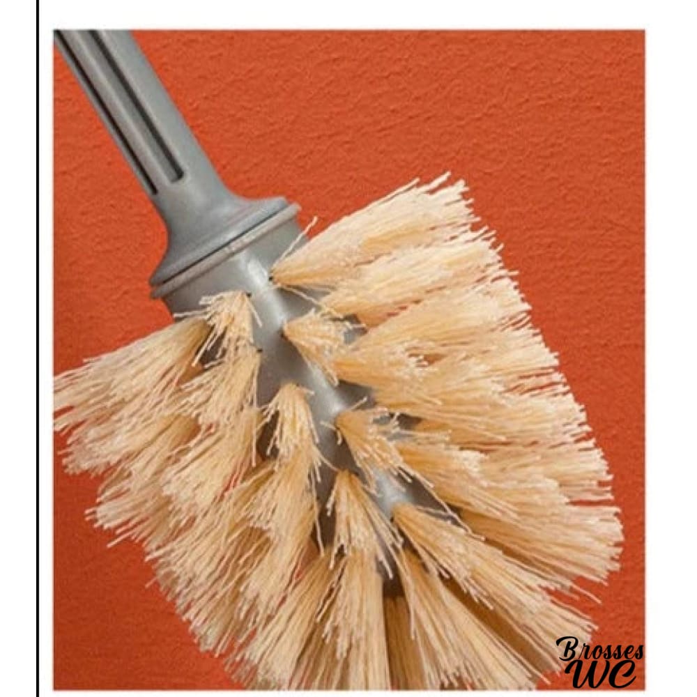 Balai brosse wc cactus original