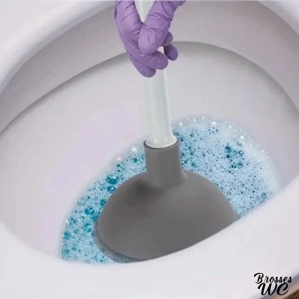 Balai wc ventouse pratique