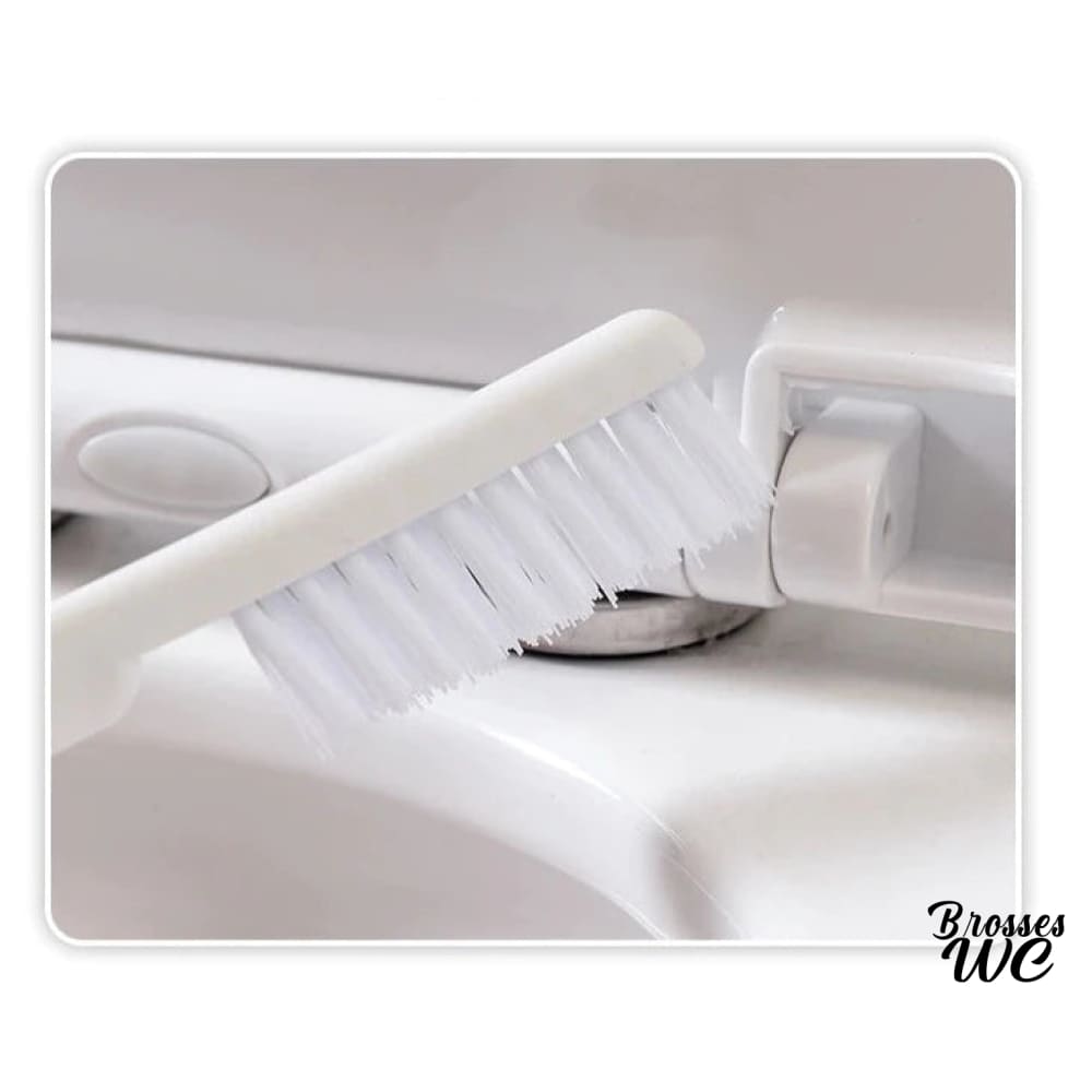 Brosse wc deux têtes efficace