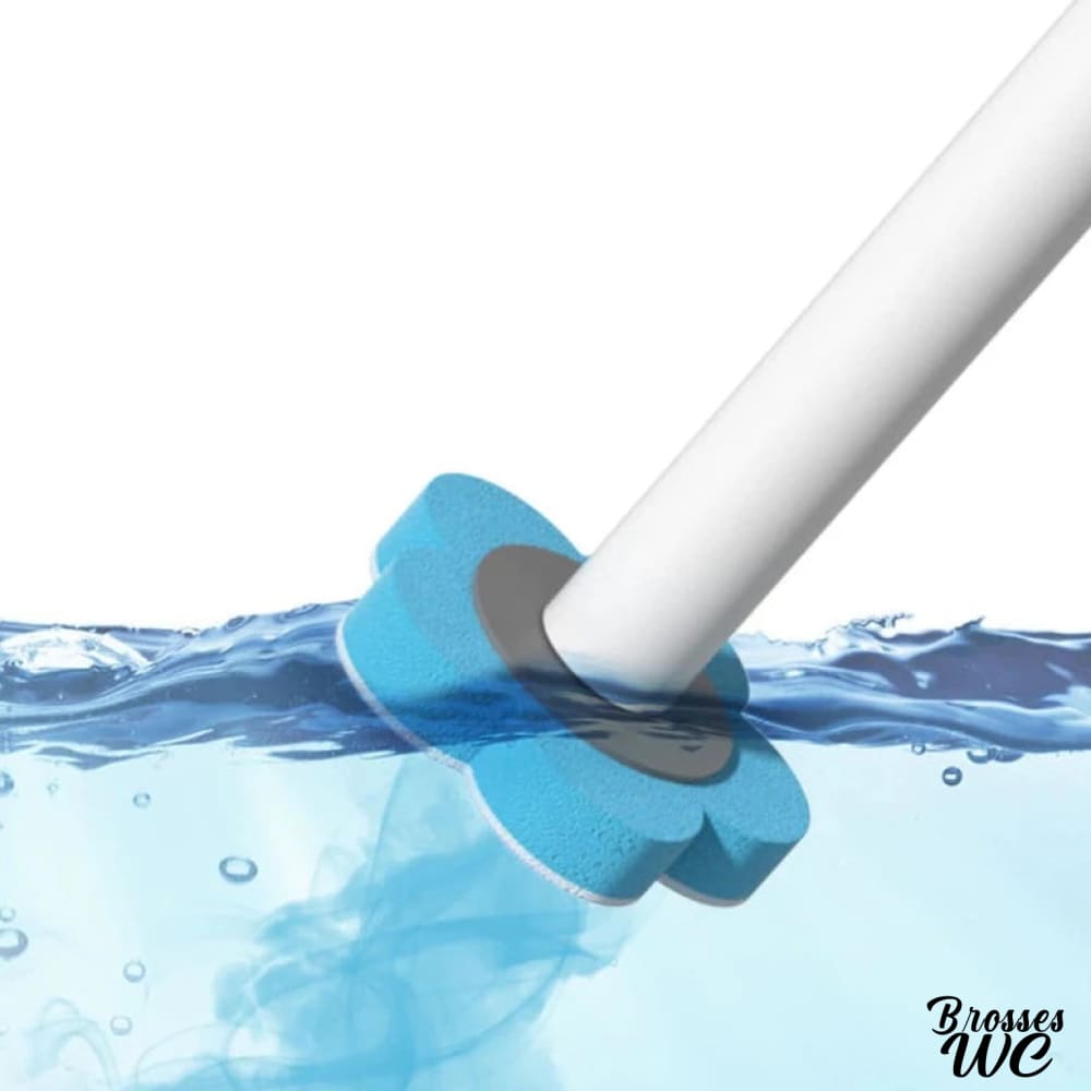Brosse toilette jetable hygiénique