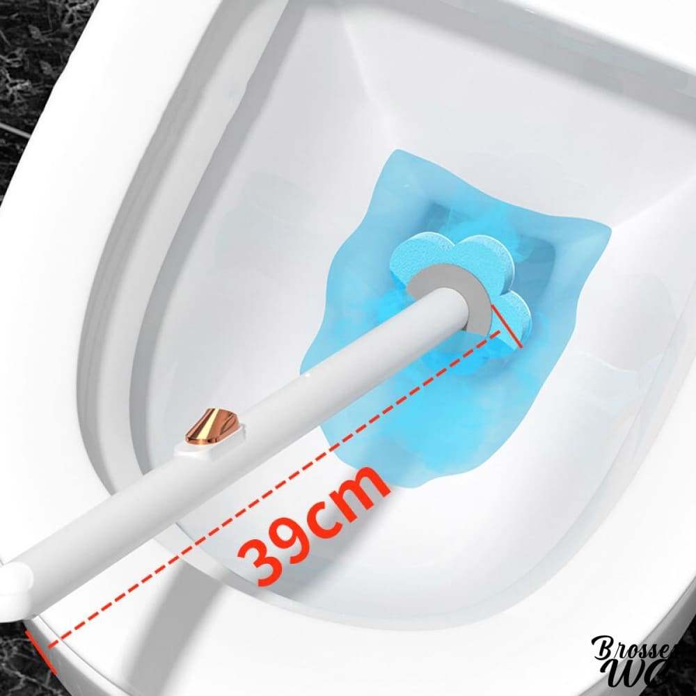 Brosse toilette jetable hygiénique