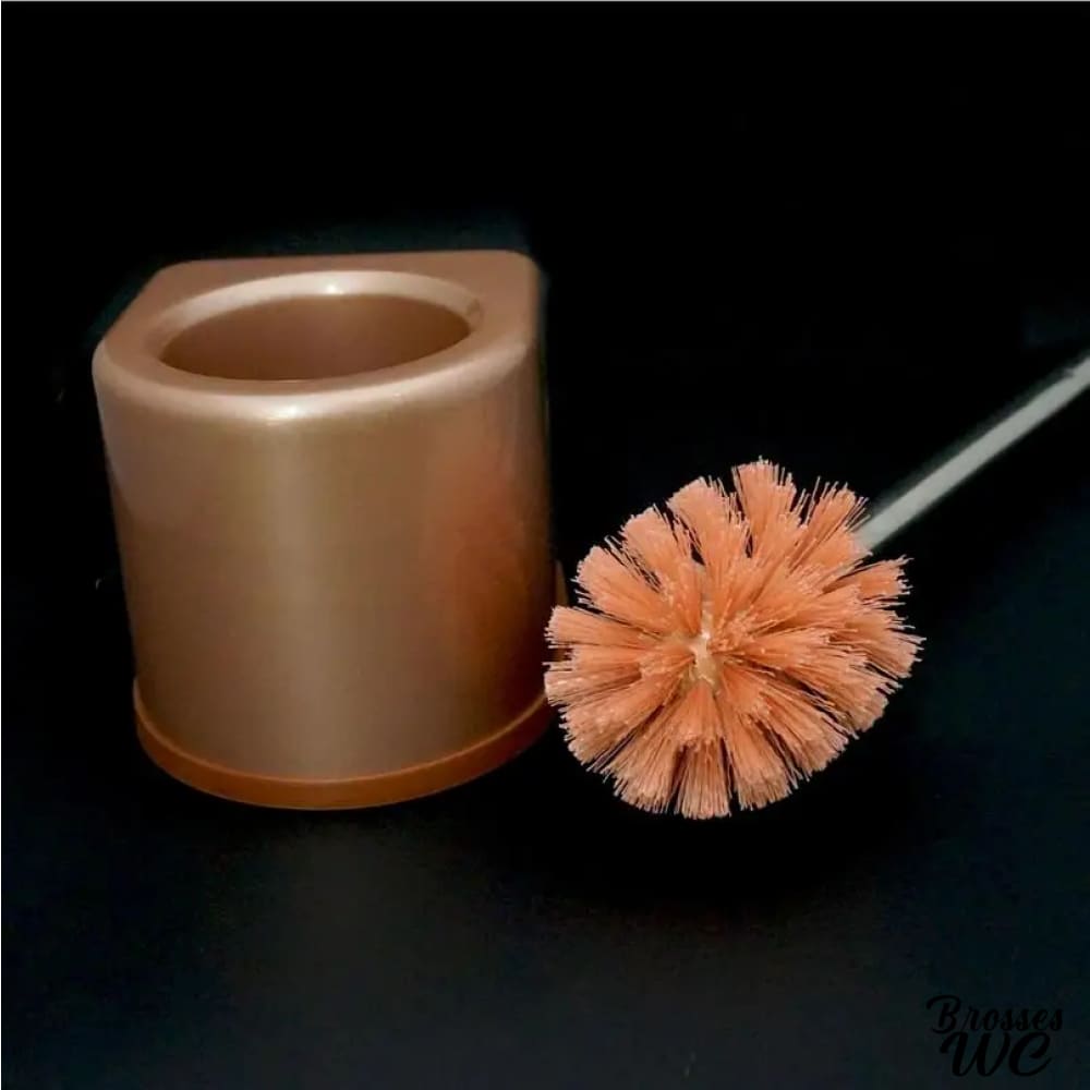 Brosse wc manche long précis