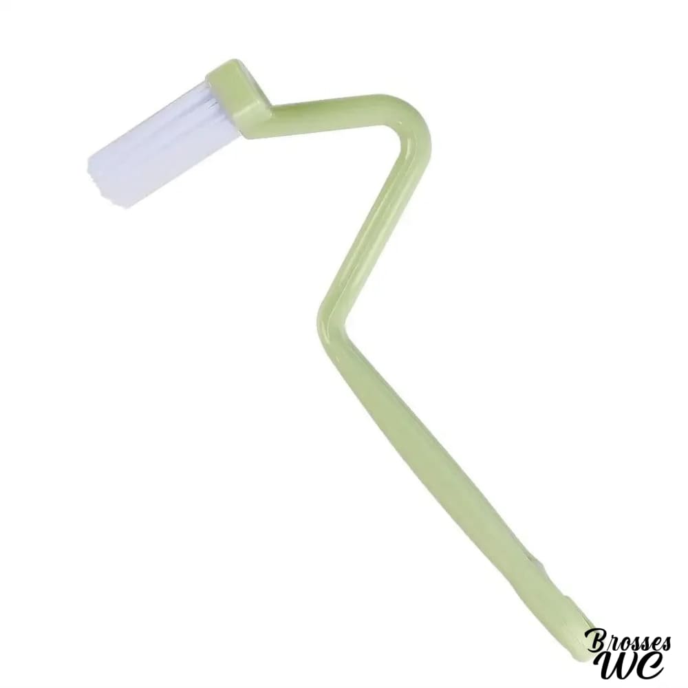 Brosse toilette courbée précise