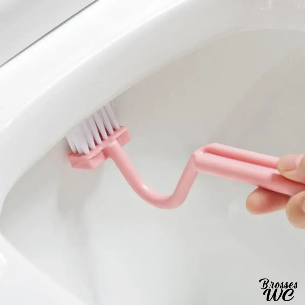 Brosse toilette courbée précise