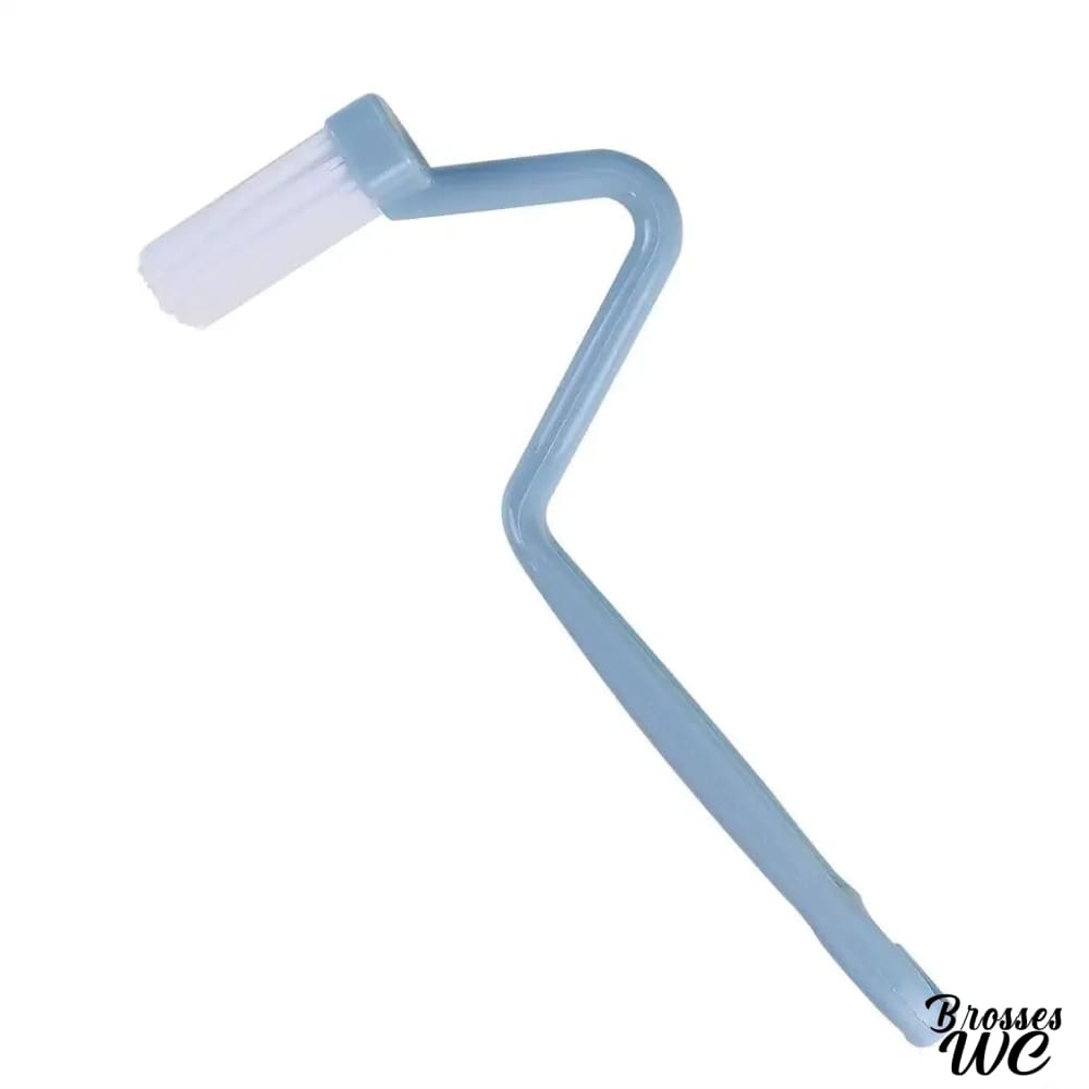 Brosse toilette courbée précise