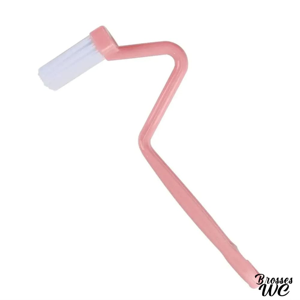 Brosse toilette courbée précise