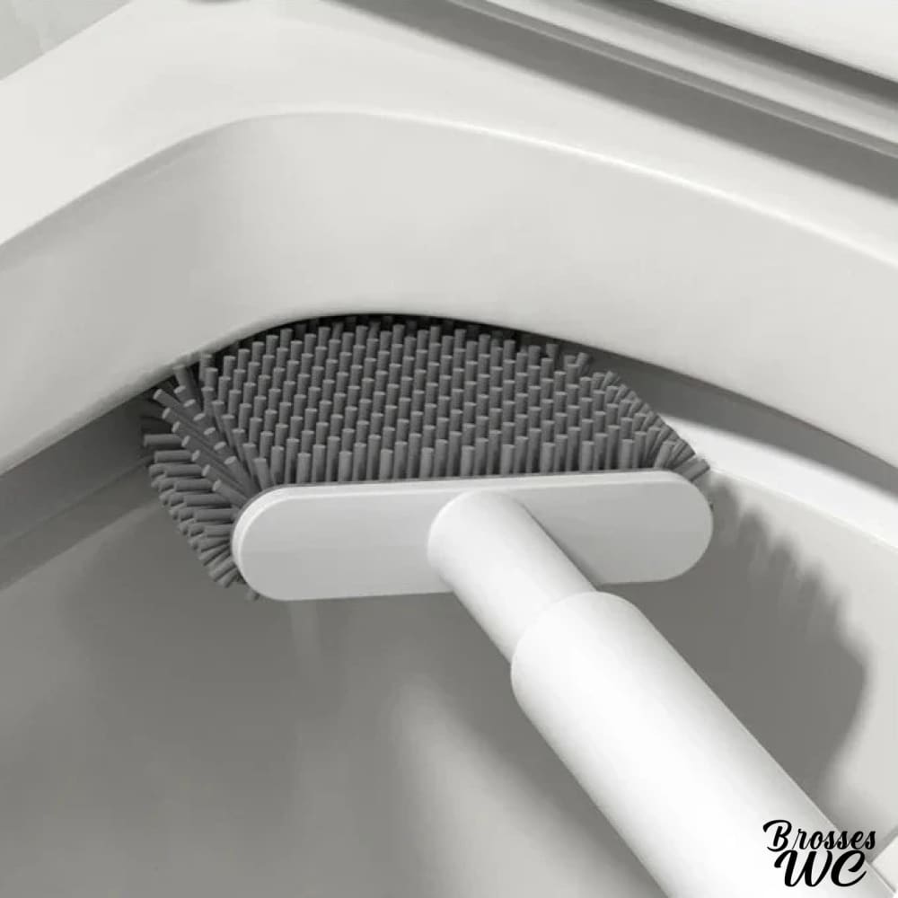 Brosse toilette wc essentielle