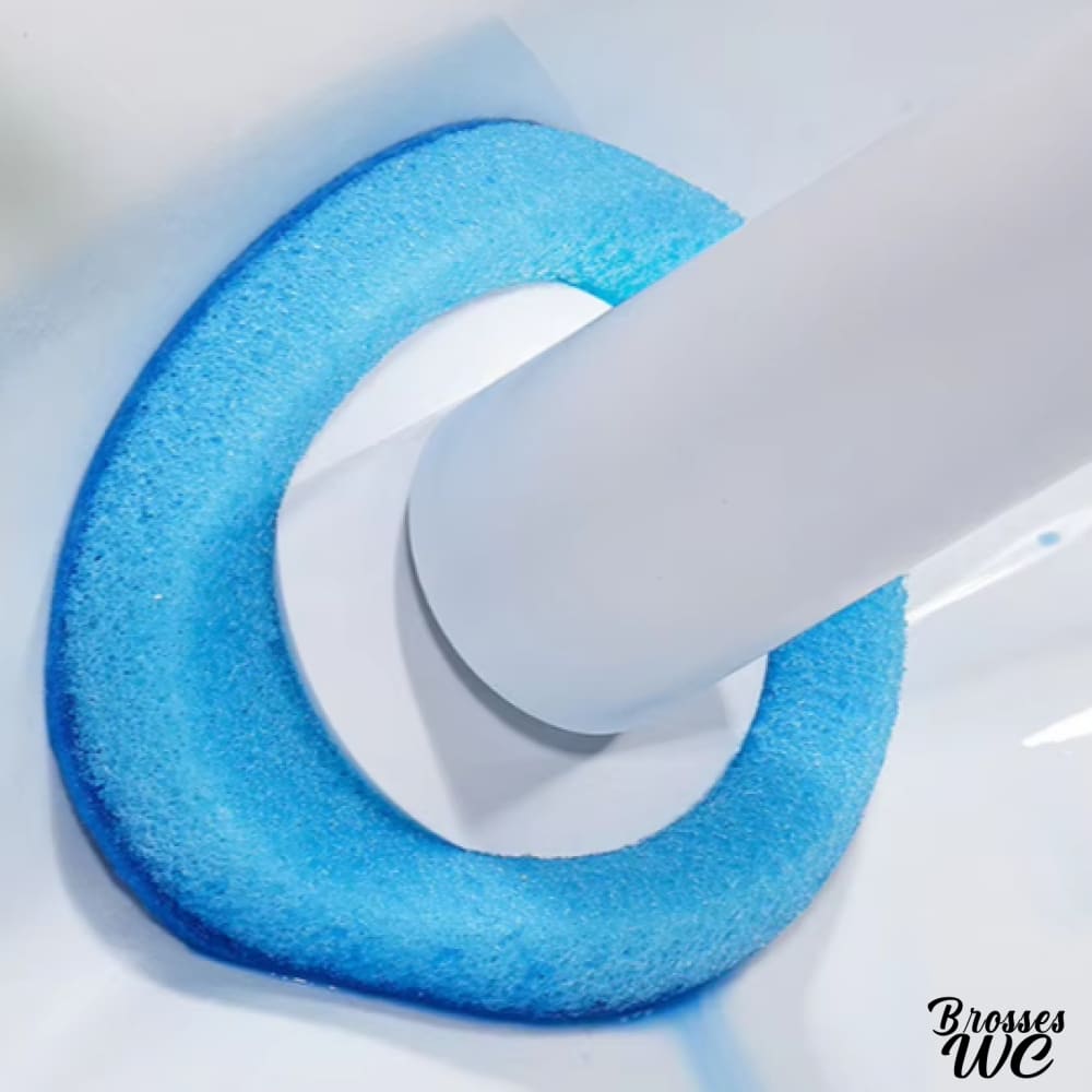Brosse toilette jetable pratique