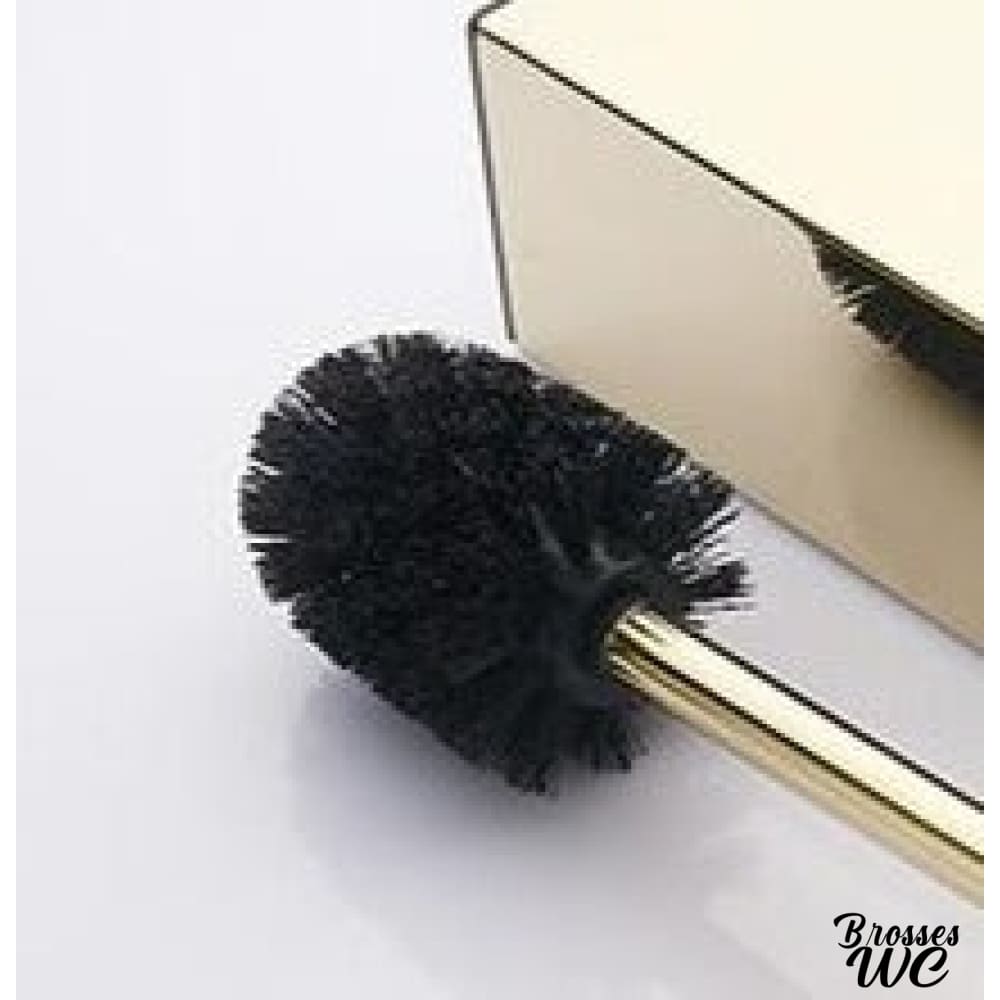 Brosse toilette or éclatante