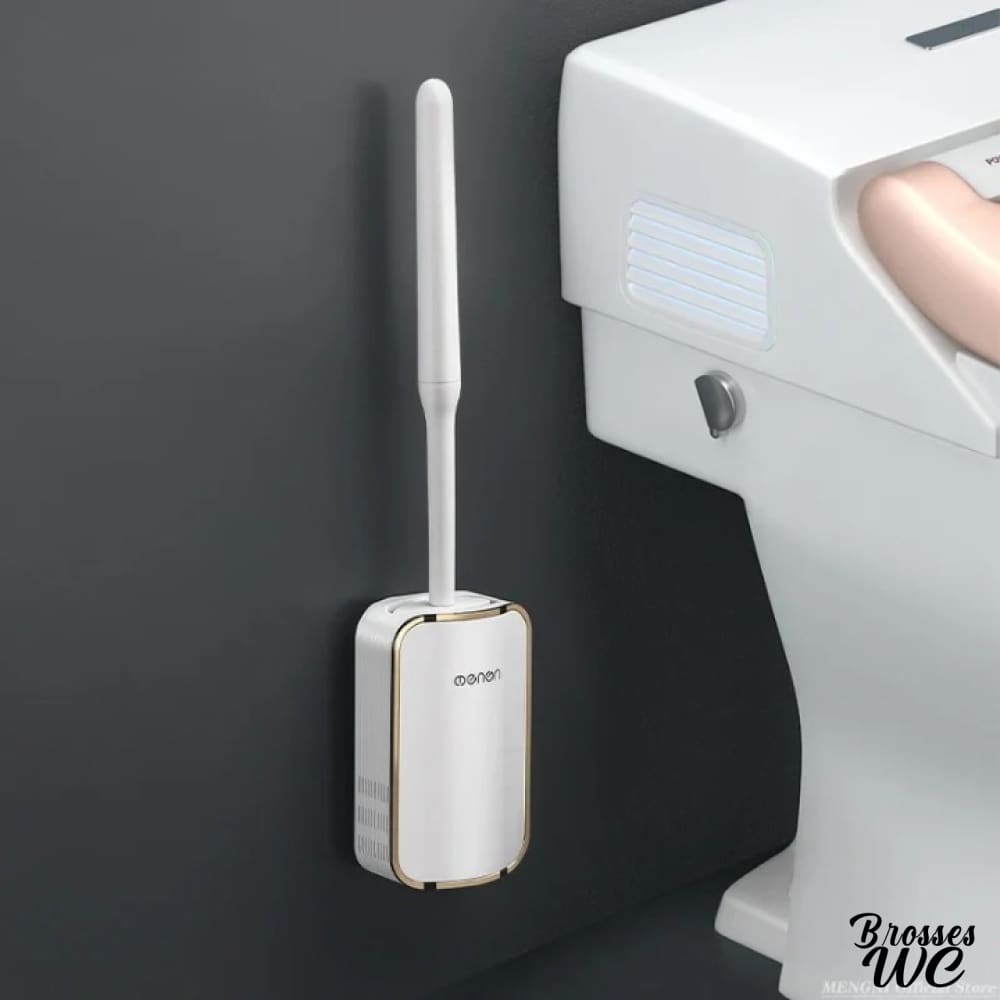 Brosse wc murale fixation pratique