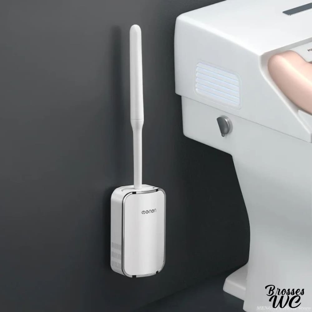 Brosse wc murale fixation pratique