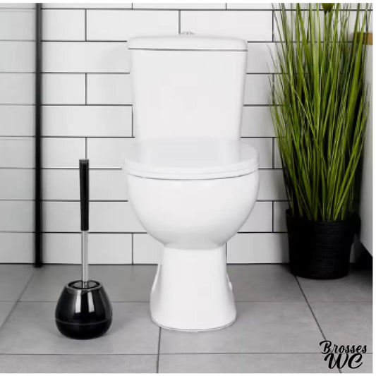 Brosse wc abs résistante