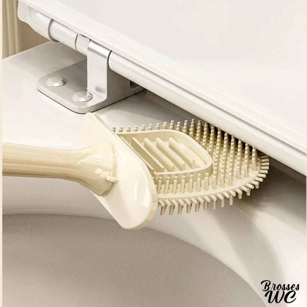Brosse wc adhésive pratique
