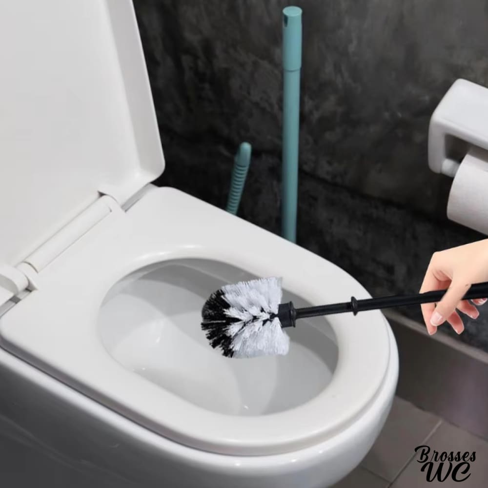 Brosse wc boule poils bicolores