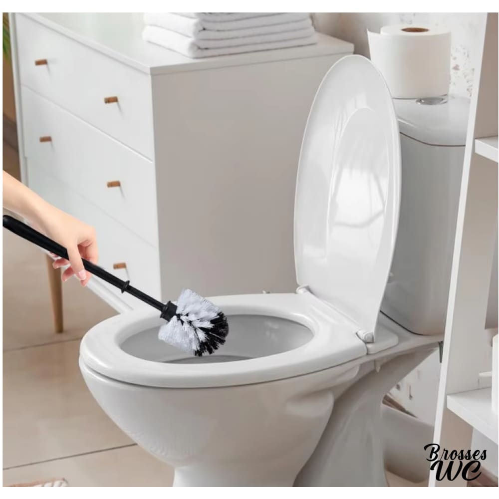 Brosse wc boule poils bicolores