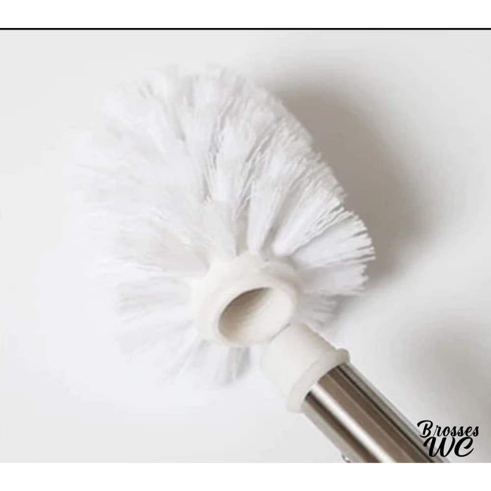 Brosse wc couleur vibrante