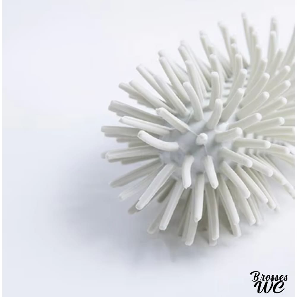 Brosse wc colorée vibrante