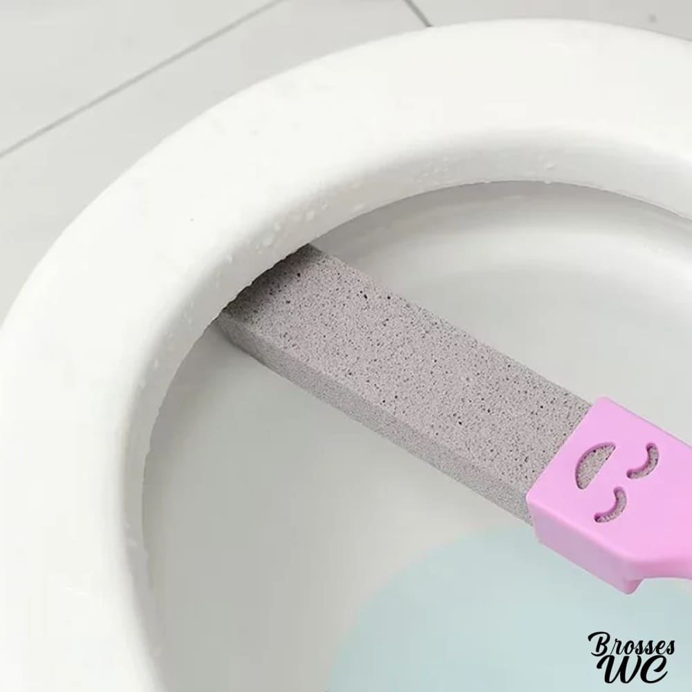 Brosse wc pierre ponce naturelle