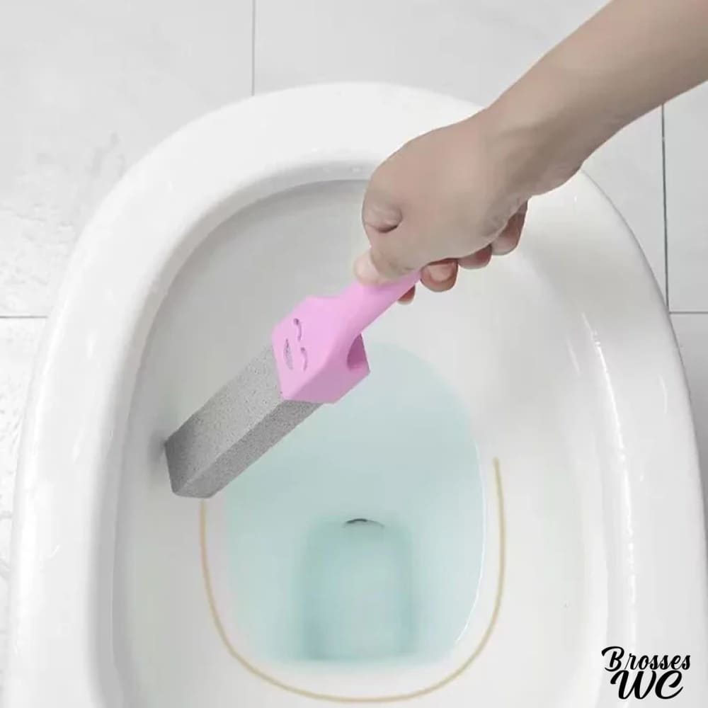 Brosse wc pierre ponce naturelle