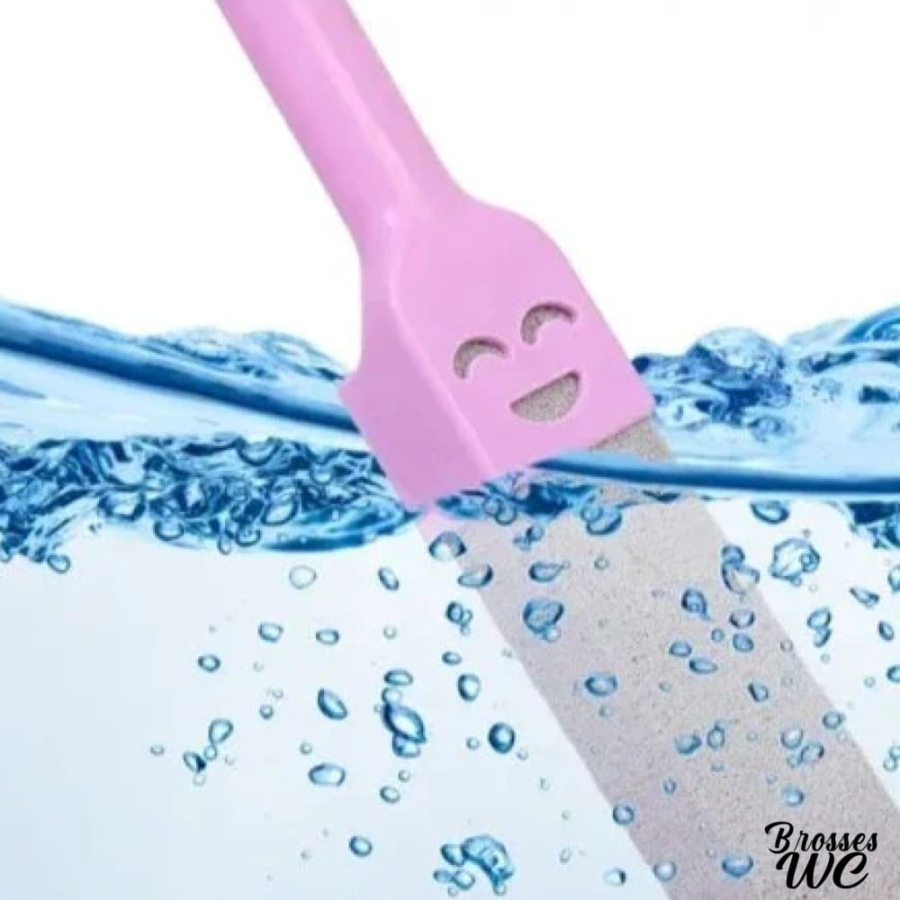 Brosse wc pierre ponce naturelle