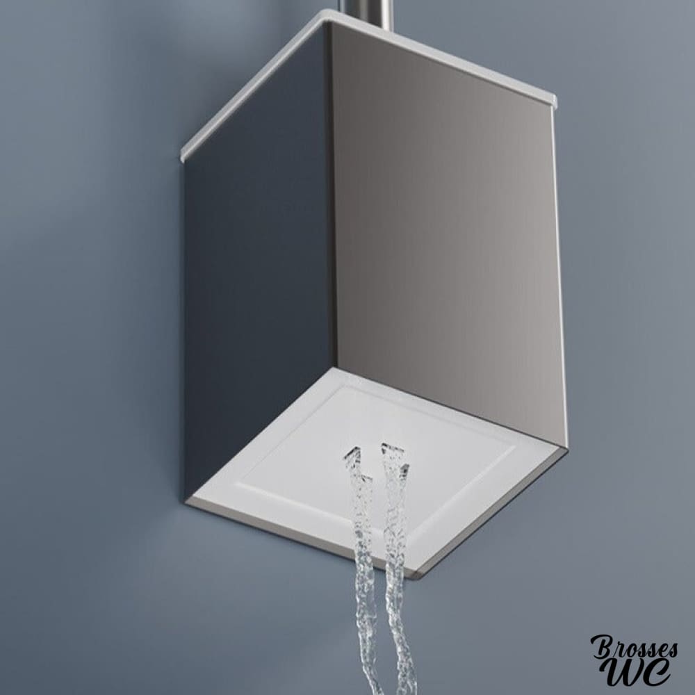 Brosse wc inox brillant