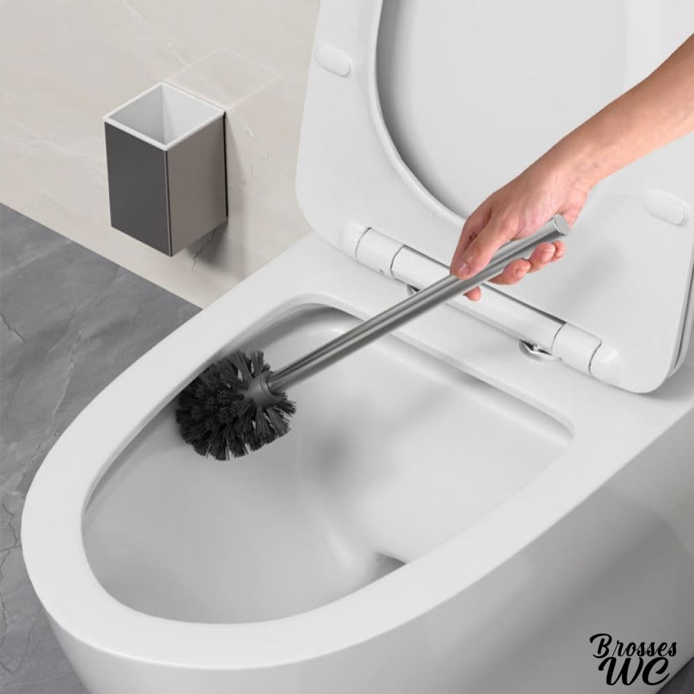 Brosse wc inox brillant