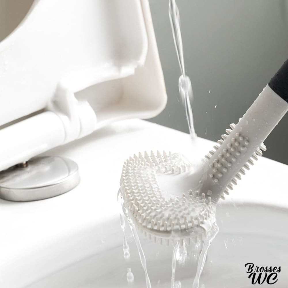 Brosse wc design cactus original