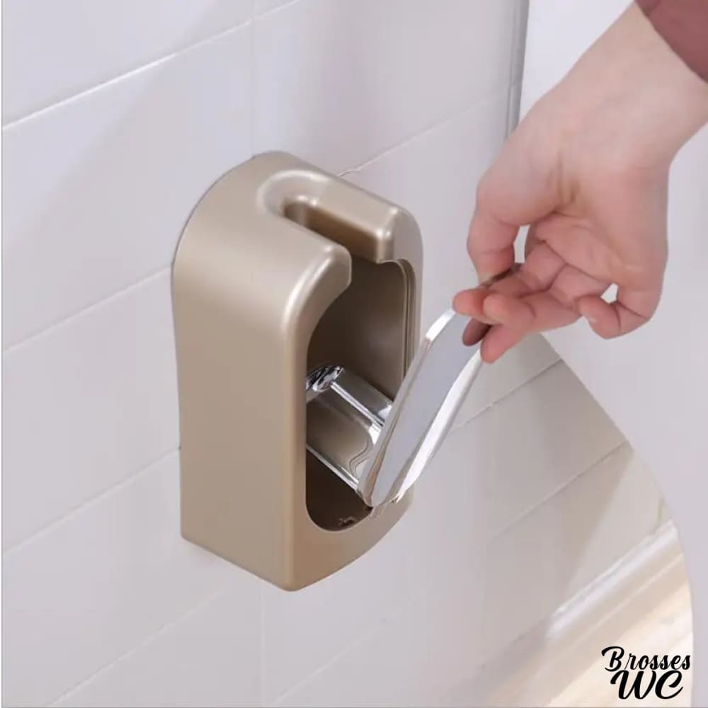 Brosse wc acier inoxydable rose délicat