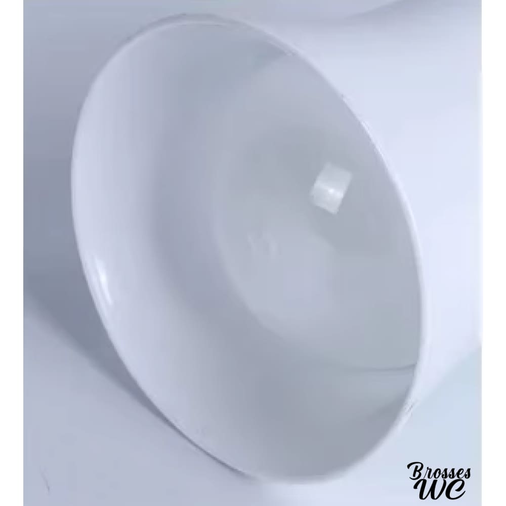 Brosse wc plastique résistante