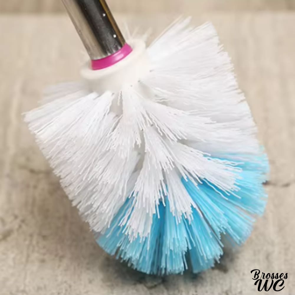 Brosse wc individuelle fonctionnelle