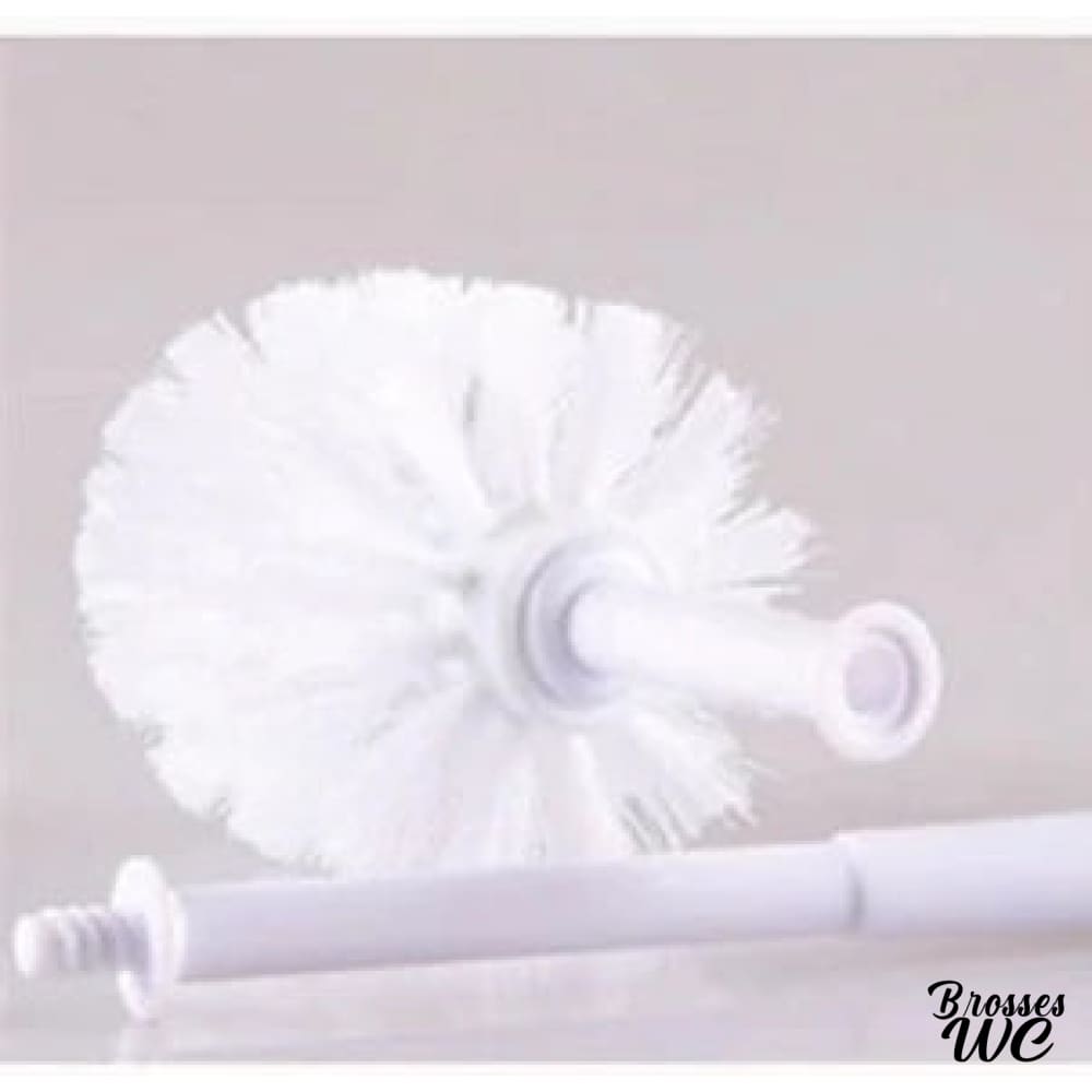 Ensemble brosse wc grenouille ludique